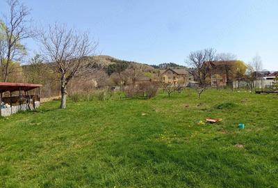 Casă cu Teren 3103 Mp în Central - 2