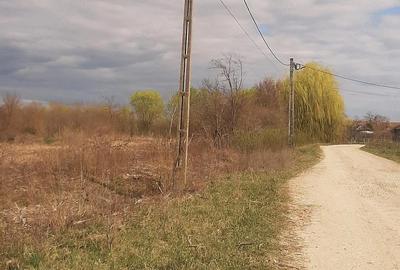 Teren de 2000 mp, în Sânnicolau Român - 3