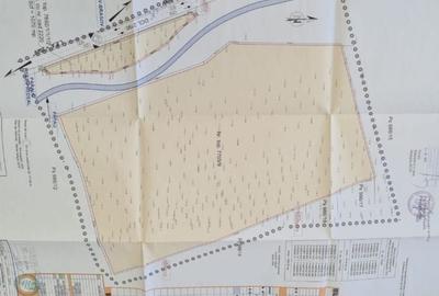 Teren superb intravilan cu PUZ  zona Rasnov Cheile Rasnoavei - 3