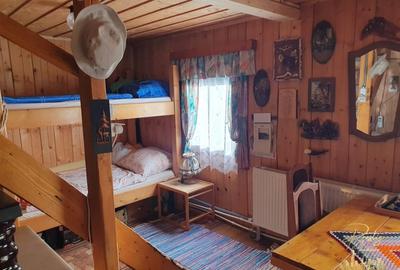 Cabana de lemn cu teren 760 mp de vanzare in Coada Lacului - Bihor - 14