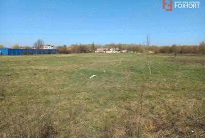 Teren de 8341 mp, în Plopi - 4