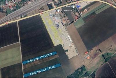 Teren de 4300 mp, în Vințu de Jos - 5