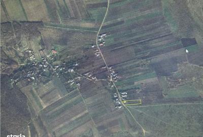 Casă cu 3 camere în Covrag - 5