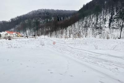 Teren Construcții intravilan de 800 mp, în Bunloc - 4