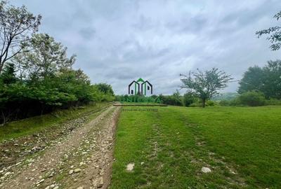 Teren 3507 mp/ Seaca/Calimanesti - 3