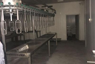 Abator pasari - Nadlac, Arad - 2