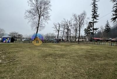 Teren investitie in strand Piatra Neamt - 4