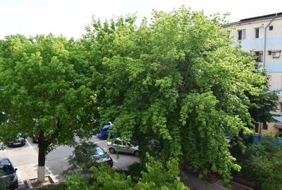 Apartament cu 4 camere semidecomandat în Craiovița Nouă - 6