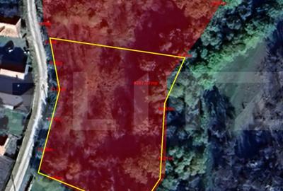 Teren de 2000 mp, în Ciurila - 2