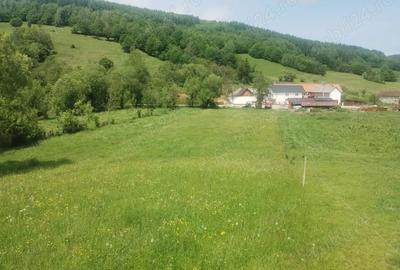 Teren de 5800 mp, în Scrădoasa - 3