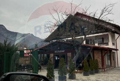 Teren Zarnesti /Bran/Predelut6 Strada Pe tarina Teren Zarnesti /Bran/Predelut6 Strada Pe tarina - 3