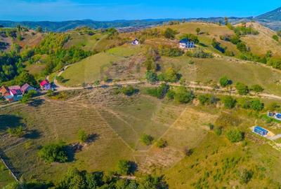 Teren agricol extravilan de 6014 mp, în Holbav - 6