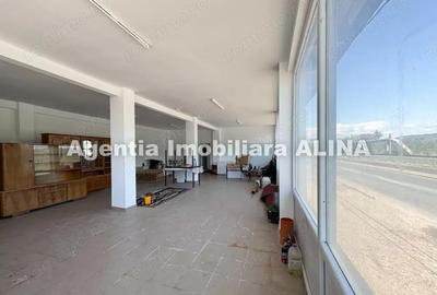 Spatiu comercial spre iesire din Loc. Deva (spre Mintia) zona Izvorul Decebal, Jud. Hunedoara. - 2