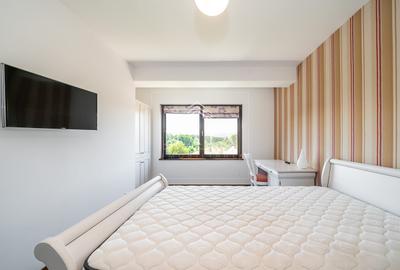 Apartament cu 3 camere decomandat în Sub Arini - 12