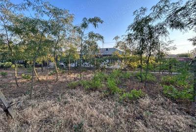 Vand casa intr-o zona neinundabila , in Cudalbi , judetul Galati - 5