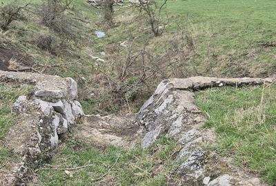 Teren în Petrești - 10