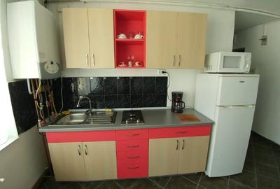 Inchiz apartament cu 2 camere central Timisoara - 7