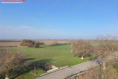 Teren de vanzare in Delta Dunarii loc. Nufaru - 2