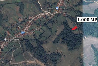 Teren de 1000 mp, în Nadăș - 1