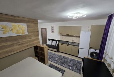 Garsonieră nedecomandată în Radu Negru - 2