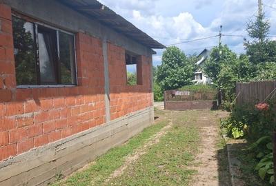Casă cu 4 camere în Argeșelu - 7