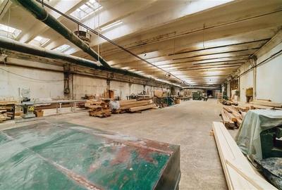 Spațiu industrial, de 4,439 mp, în Vest - 13