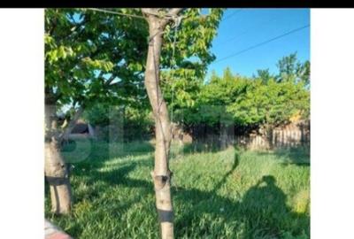 Casă cu 5 camere cu Teren 600 Mp în Central - 8