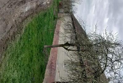 Casă cu 6 camere în Hitiaș - 2