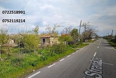 Lehliu, teren intravilan, 1000 mp - 3