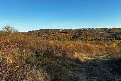 Spațiu comercial, în Central - 5