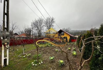 Casă cu 3 camere cu Canalizare în Gheorghe Doja - 3