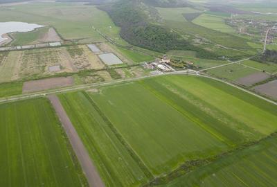 Teren de 22500 mp, în Central - 5