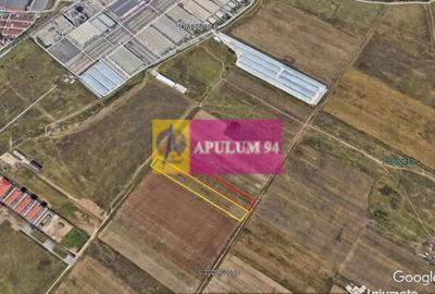 Teren de 7500 mp, în Dobroești - 2