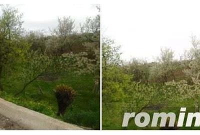 Teren extravilan livada cota 1/2 Candesti, ID : R1965265 - 7