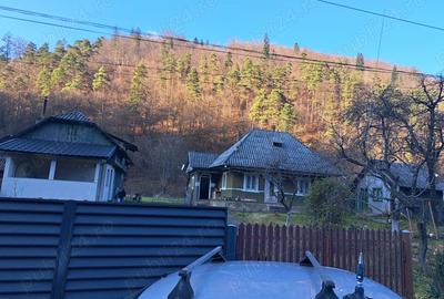 Casa Batraneasca sat Straja Comuna Tarcau - 2