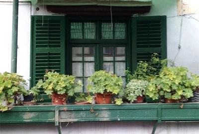 Casă cu 2 camere în Târnăveni - 1