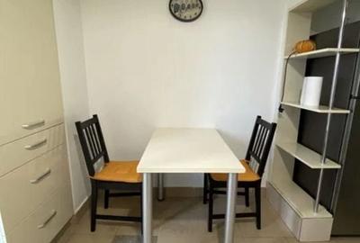 GARSONIERA P-TA ALBA IULIA, PET-FRIENDLY, BOILER, BUCATARIE INCHISA - 5