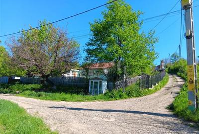 Teren de 7009 mp, în Ciurbești - 3