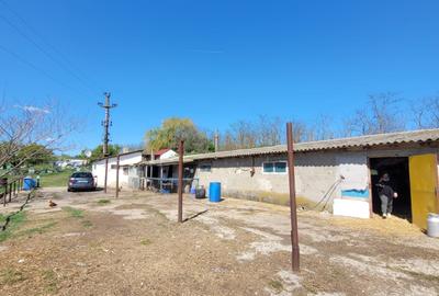 Fermă de vânzare în com. Deleni - DN3 - 10.680 mp - 84 m deschidere - 11