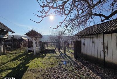Casă cu 3 camere cu Teren 80 Mp în Aninoasa - 3