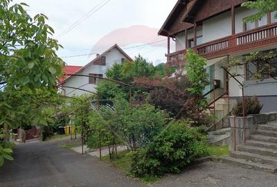 De inchiriat-casa ideala pentru sediu sau spatiu comercial-Parcul Mare - 30