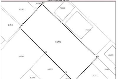 Teren intravilan de vanzare, 1.106 mp, zona Sanovil, Viisoar - 7