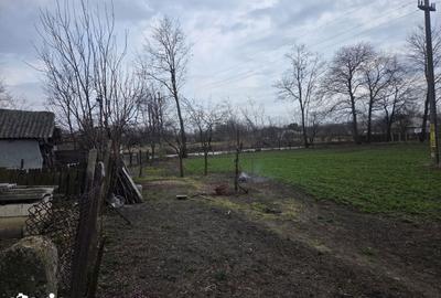 Casă cu 5 camere cu Teren 2000 Mp în Rădăuți-Prut - 10