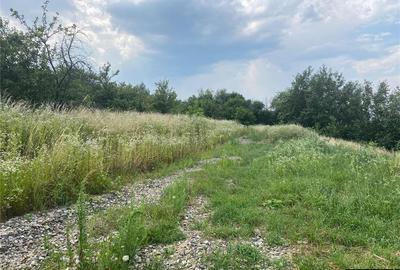 Teren Construcții intravilan de 500 mp, în Fălticeni - 2