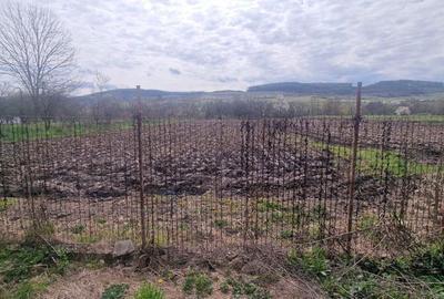 Casă cu 4 camere cu Teren 120 Mp în Almașu - 4