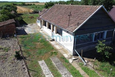 Casă individuală cu 3 camere cu Teren 4192 Mp în Bicaci - 10