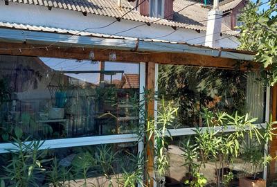 Casă cu 7 camere cu Teren 1420 Mp în Dumbrava - 3