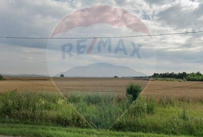 Teren 19,999.86mp Paulesti / Autostrada DN1 - 3