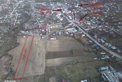 Teren de 5300 mp, în Răducăneni