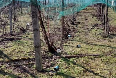 Casă cu 5 camere cu Teren 3000 Mp în Salcia - 5